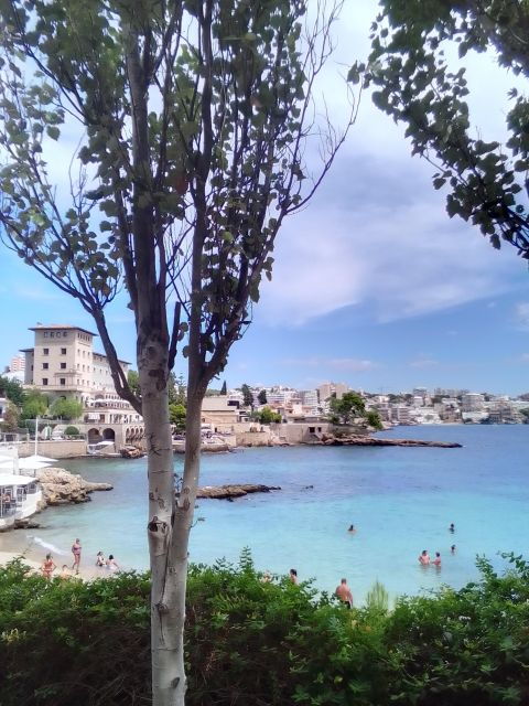 Top Malta Tour (Town, Bazaar, History, Culture, Nature, Sea) - Transport and Timing: Hassle-Free Travel