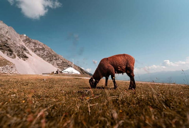 Top of Innsbruck: Roundtrip Cable Car Ticket - Practical Tips for Visiting