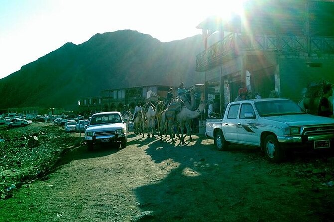 Top Package In Egypt Visit Cairo, Alexandria Sharm El Sheikh And Dahab - The Sum Up