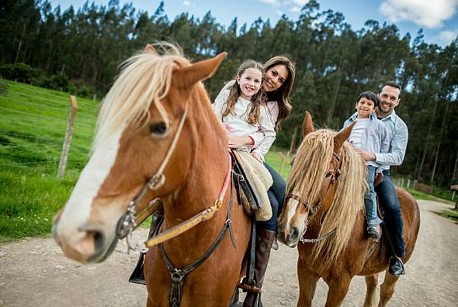 Top Packages Activities Discover Agadir and Morroco - Traveler Experience