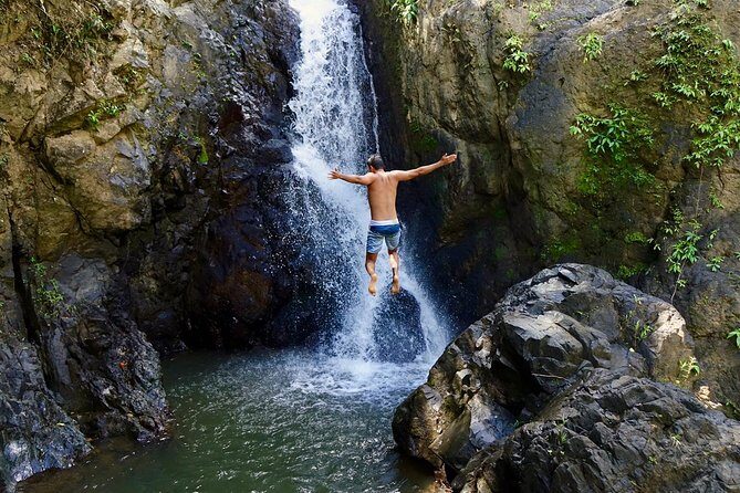 Top Rated El Yunque Rainforest & Waterslide  SmallGroup Tour - Discovering El Yunque: A Review of the Top Rated Rainforest & Waterslide Tour