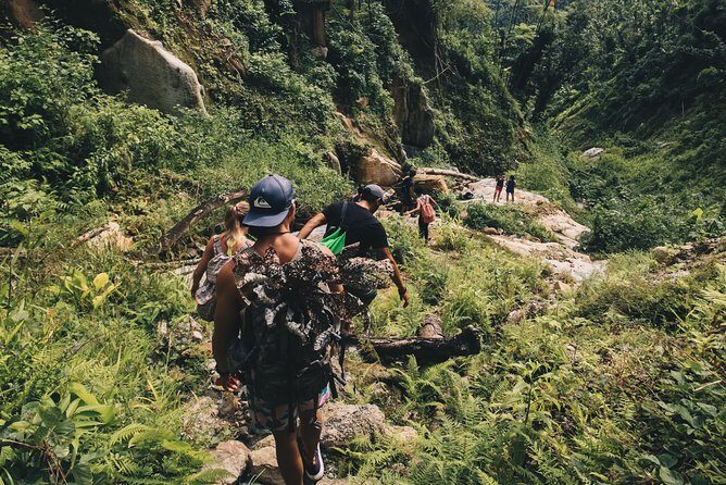 Top Rated El Yunque Rainforest & Waterslide  SmallGroup Tour - The Value Proposition