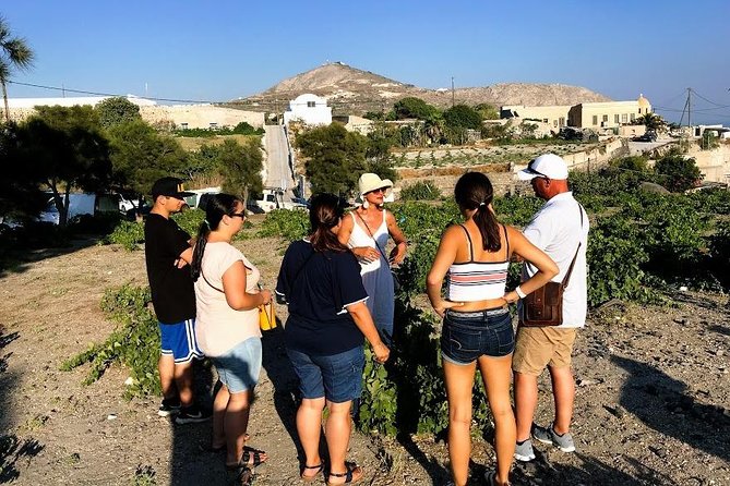 Top Santorini Attractions Highlights Day Tour 7 Hours - Santo Wines - Taste the Famous Santorini Wines