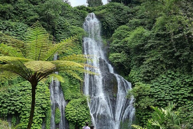 Top scenic Ulundanu & Tanah lot Temple & Banyumala Waterfall - What Makes This Tour Valuable?