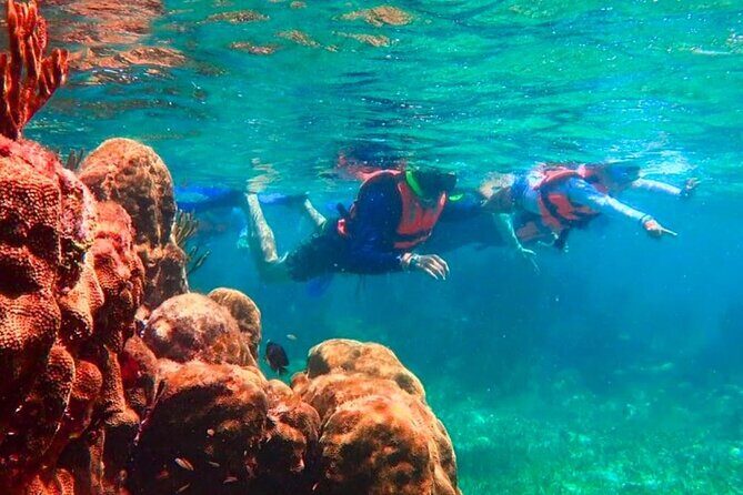 Top Snorkeling Experience in Puerto Morelos Reef - Why This Snorkeling Tour Stands Out