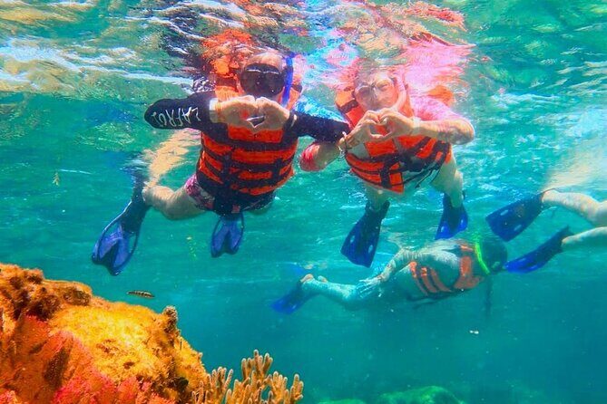 Top Snorkeling Experience in Puerto Morelos Reef - Who Will Love This Tour?
