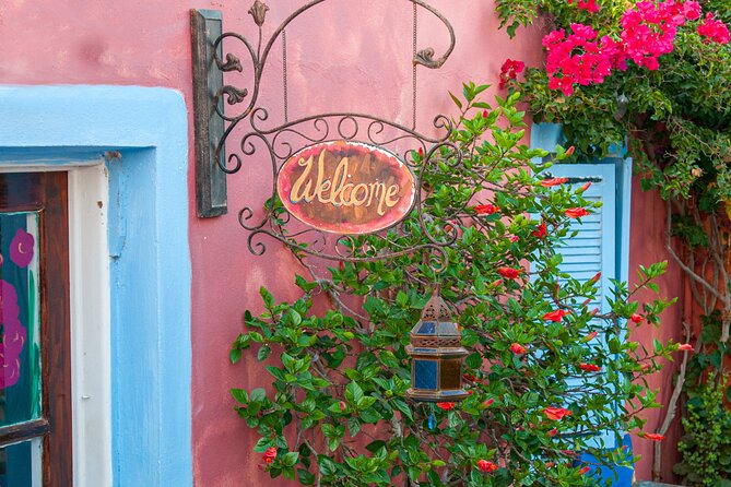 Top Spots Bus Tour in Santorini With Transportation - Terms and Conditions