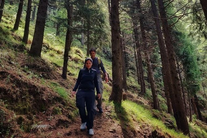 Top Tibba Trek - Mussoorie - Trail Details