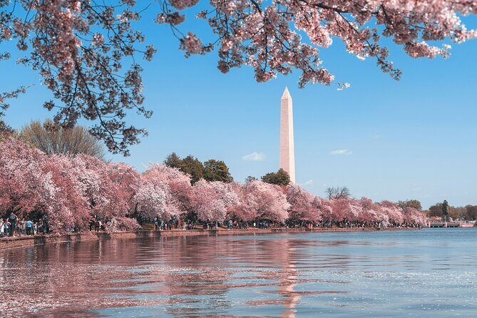 Top Tidal Basin Explorer of Thomas Jefferson FDR & MLK Memorials - Good To Know