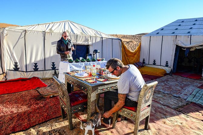 Top Tours : 3 Days Desert Tour From Marrakech to Merzouga Including Camel Trek - Desert Camp Stay and Camel Ride