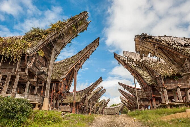 Toraja Highlight 3 Days - Toraja Itinerary Overview