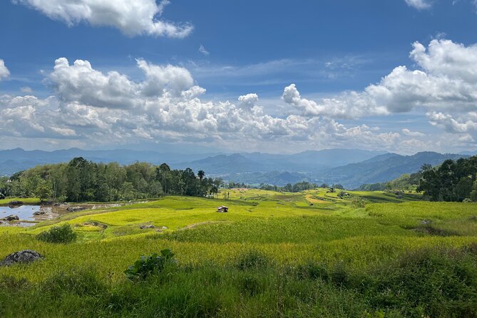 Toraja Highlight 3 Days - Cultural Immersion Activities