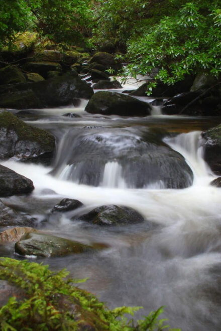 Torc Waterfall & Mountain Hike. Kerry. Private Guided. - Guided Tour