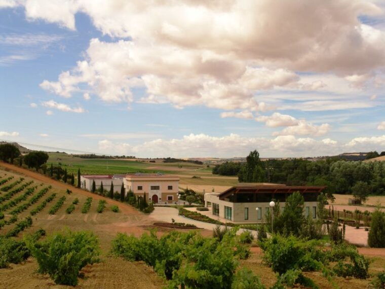 Toro: Piedra Winery Tour and Tastings - Wine and Cheese Pairing Tasting