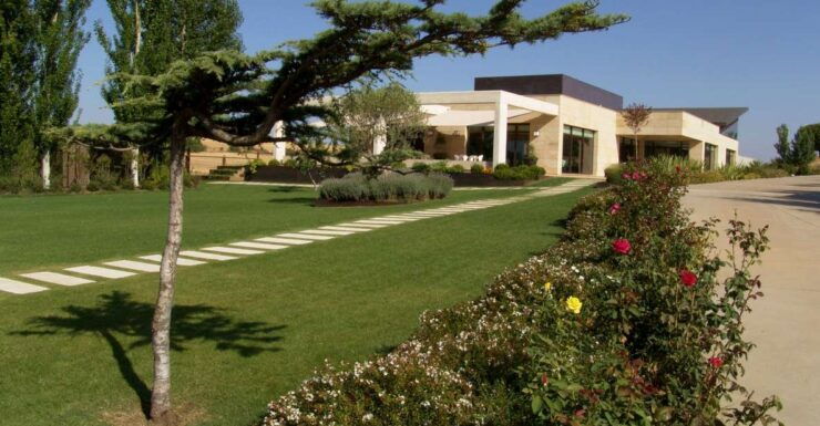 Toro: Piedra Winery Tour and Tastings - Experience Highlights