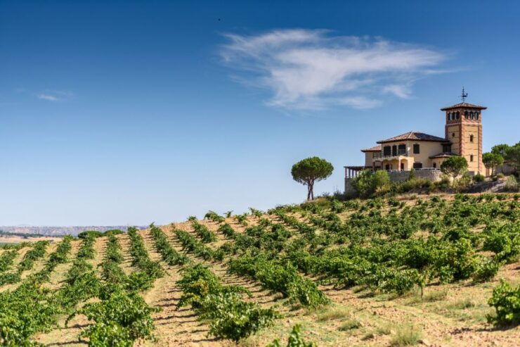 Toro: Piedra Winery Tour & Oak Barrel Tastings - Experience Highlights