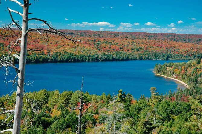 Toronto 4 Day Small Group Tour - A Deep Dive into the 4-Day Small Group Tour Experience