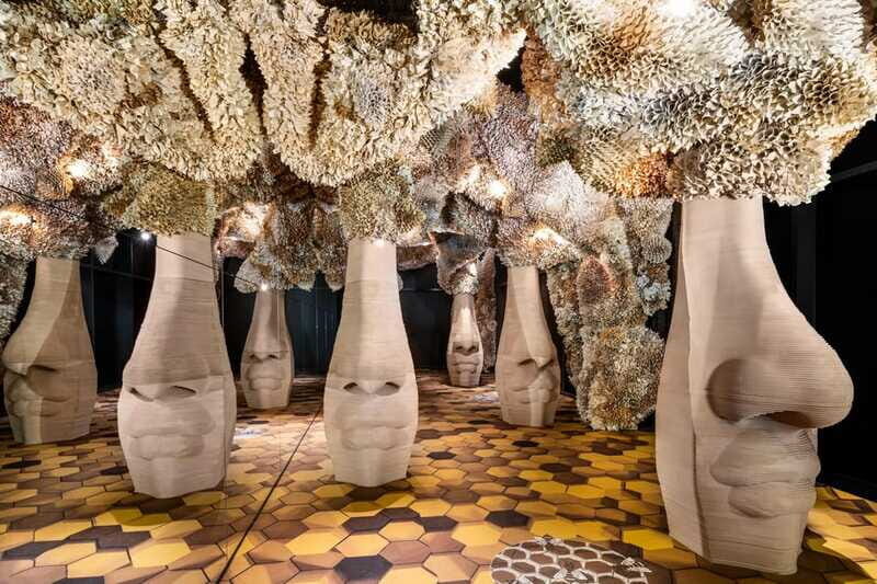 Toronto: Arcadia Earth, Immersive Experience Anytime Ticket - The Sum Up