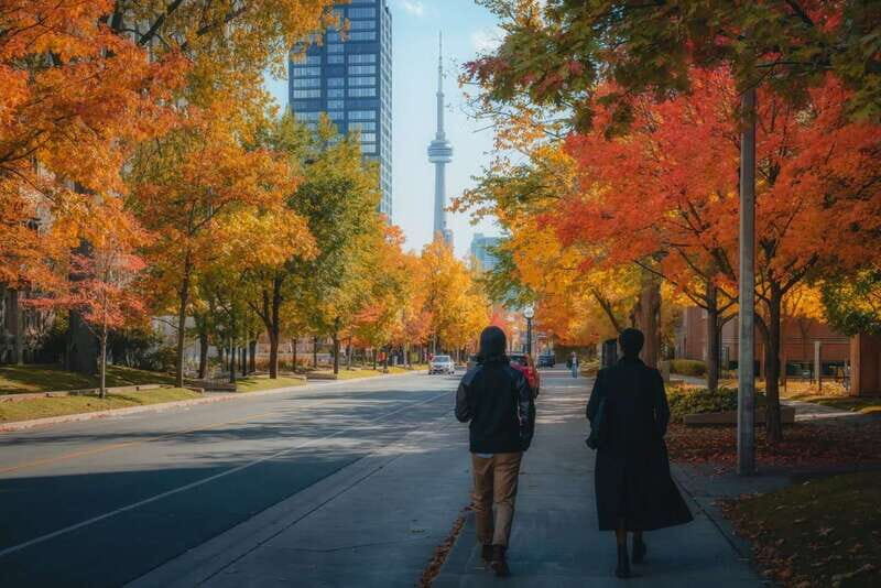 Toronto: City Highlights Walking Tour | 3-Hour - The Sum Up