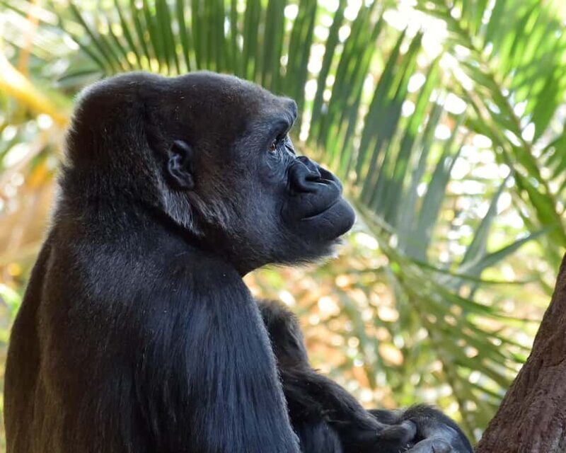 Toronto CityPASS®: Save up to 38% at 5 Top Attractions - The Experience of Using the Pass