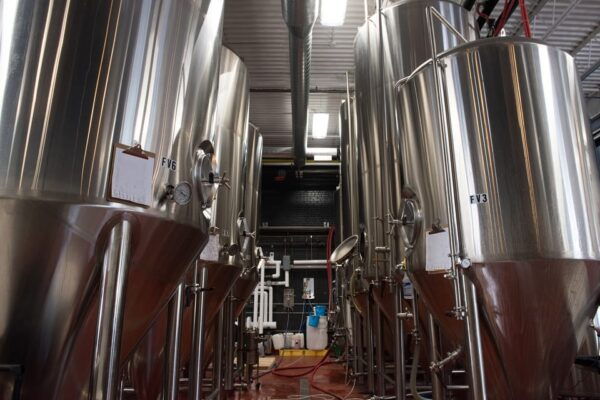 Toronto: Craft Brewery Tour - Booking and Cancellation Policy