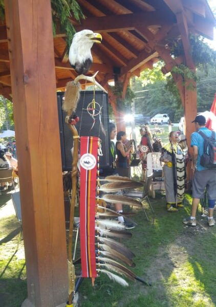 Toronto: Curve Lake First Nation Cultural Day Trip - Immersive Indigenous Workshops