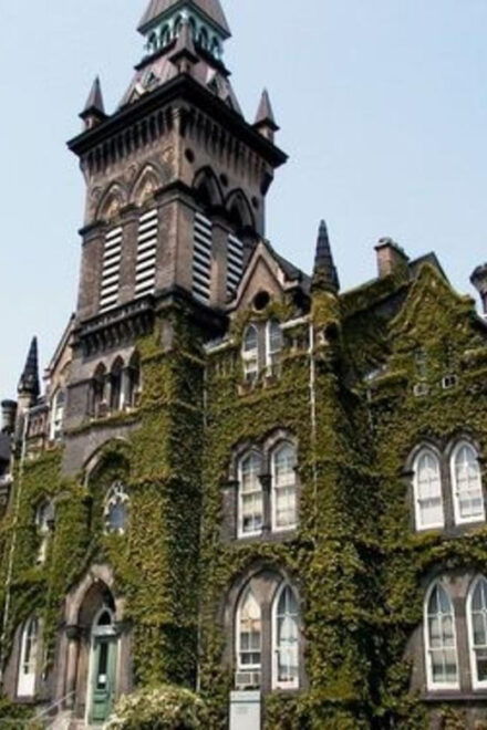 Toronto: Distillery & Old Town Private Walking Tour - Private Group Option