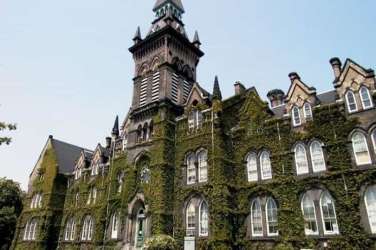 Toronto: Guided Walking Tour of Must-See Attractions - Good To Know