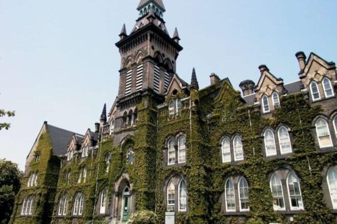 Toronto: Guided Walking Tour of Must-See Attractions - Booking Information