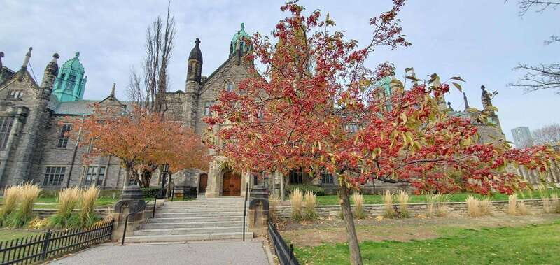 Toronto: Highlights Drive and Walking Tour - Who Should Consider This Tour?