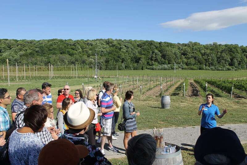 Toronto: Niagara Falls Day Tour with Boat Option - Who Will Love This Tour?