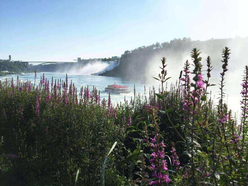 Toronto: Niagara Falls Day Tour with Hornblower Cruise - What to Expect from the Tour