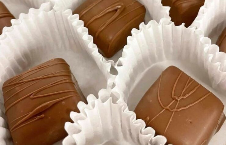 Toronto: Niagara-on-the-Lake, Winery & Chocolate Day Trip - Itinerary Highlights