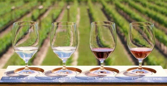 Toronto: Niagara-on-the-Lake, Winery & Chocolate Day Trip - Customer Experience and Reviews