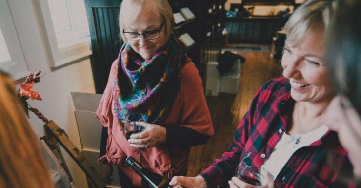 Toronto: Niagara Wineries Tasting Tour & Optional Lunch - Activity Details