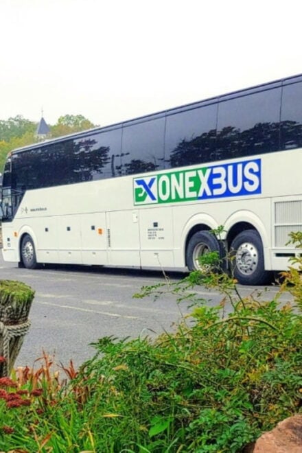 Toronto Pearson Airport: Direct Bus From/To Brampton - Safety and Reliability