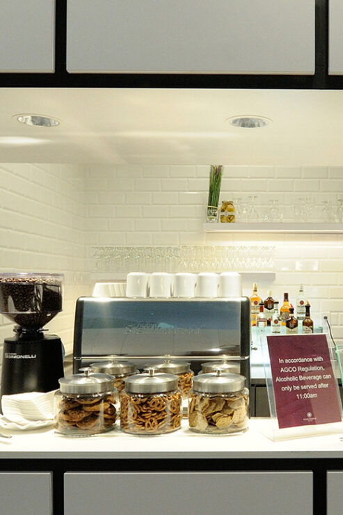Toronto: Pearson Airport Plaza Premium Lounge Access - Lounge Features and Amenities