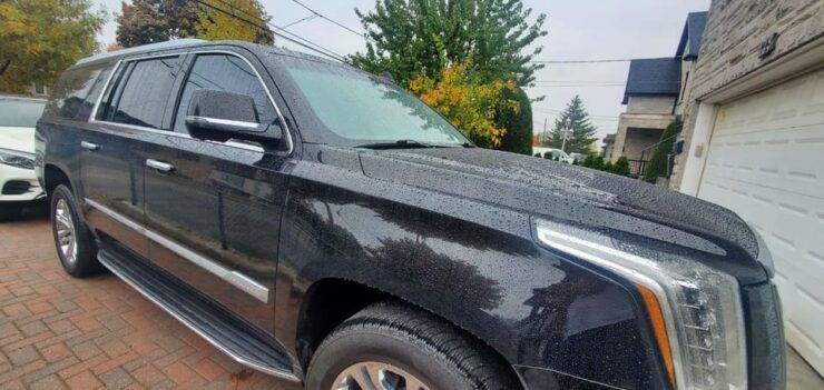 Toronto: Private Pearson Airport Transfers to Niagara Falls - Vehicle Options