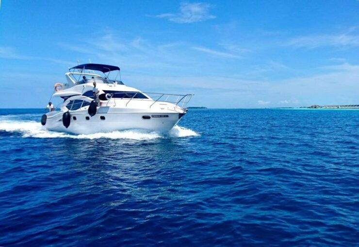 Toronto: Regal Luxury Yacht Charter - Exclusive Experience Highlights