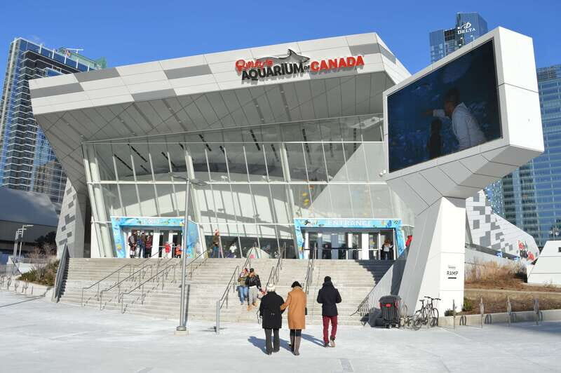 Toronto: Ripley's Aquarium of Canada Entry Ticket - What to Expect at Ripleys Aquarium of Canada
