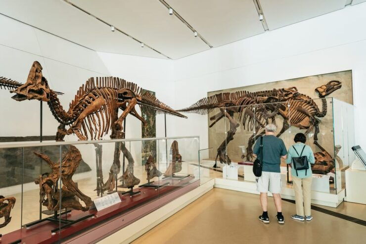 Toronto: Royal Ontario Museum Admission Ticket - Museum Highlights and Exhibits