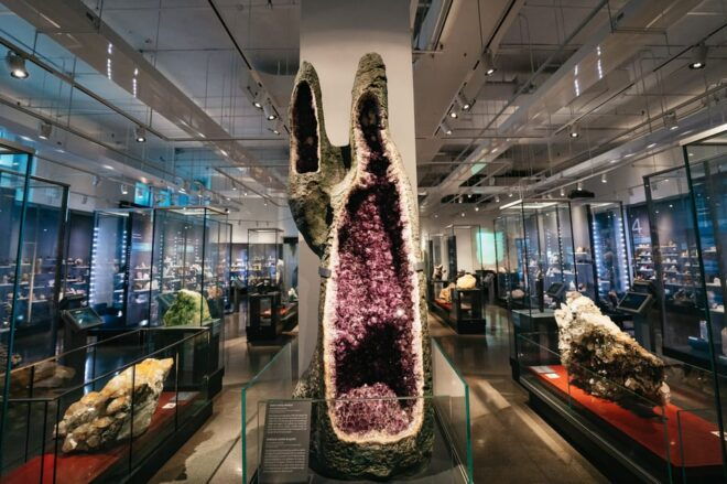 Toronto: Royal Ontario Museum Admission Ticket - Accessibility and Visitor Guidelines