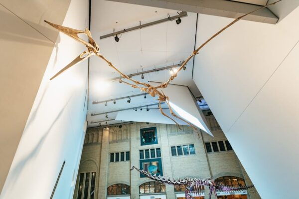 Toronto: Royal Ontario Museum Admission Ticket - Museum History and Significance