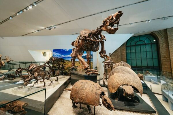 Toronto: Royal Ontario Museum Admission Ticket - Frequently Asked Questions