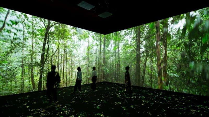 Toronto: Royal Ontario Museum Special Exhibits Voucher - Good To Know