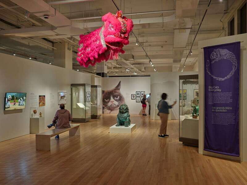 Toronto: Royal Ontario Museum Special Exhibits Voucher - Value and Cost Analysis