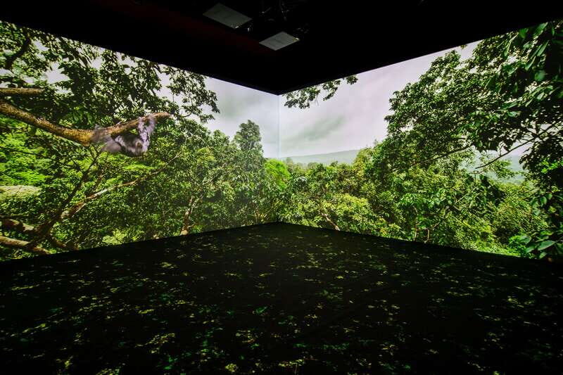 Toronto: Royal Ontario Museum Special Exhibits Voucher - The Sum Up