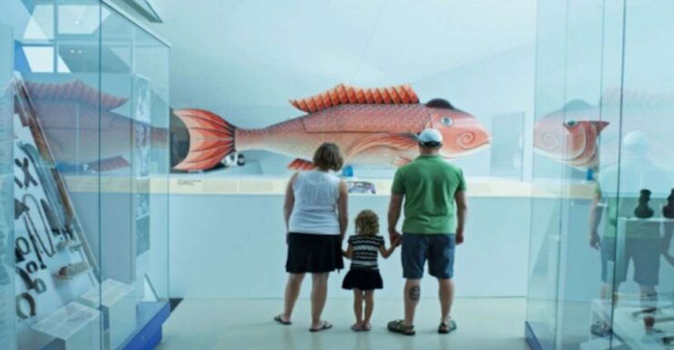 Toronto: Royal Ontario Museum Special Exhibits Voucher - Experience Highlights