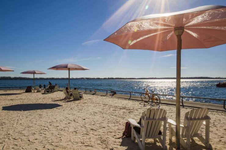 Toronto: Scenic 3-Hour Guided Bicycle Tour - Experience Highlights