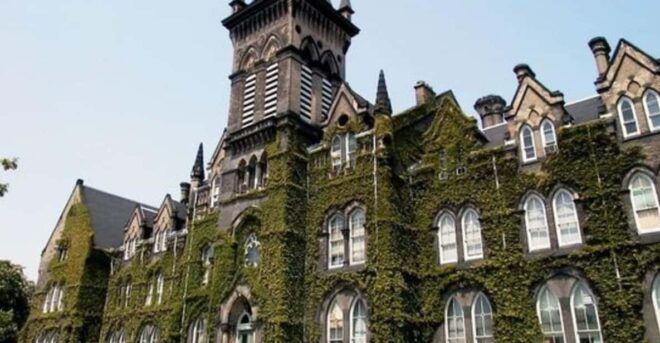 Toronto : Street Art Walking Tour With A Guide - Booking and Availability
